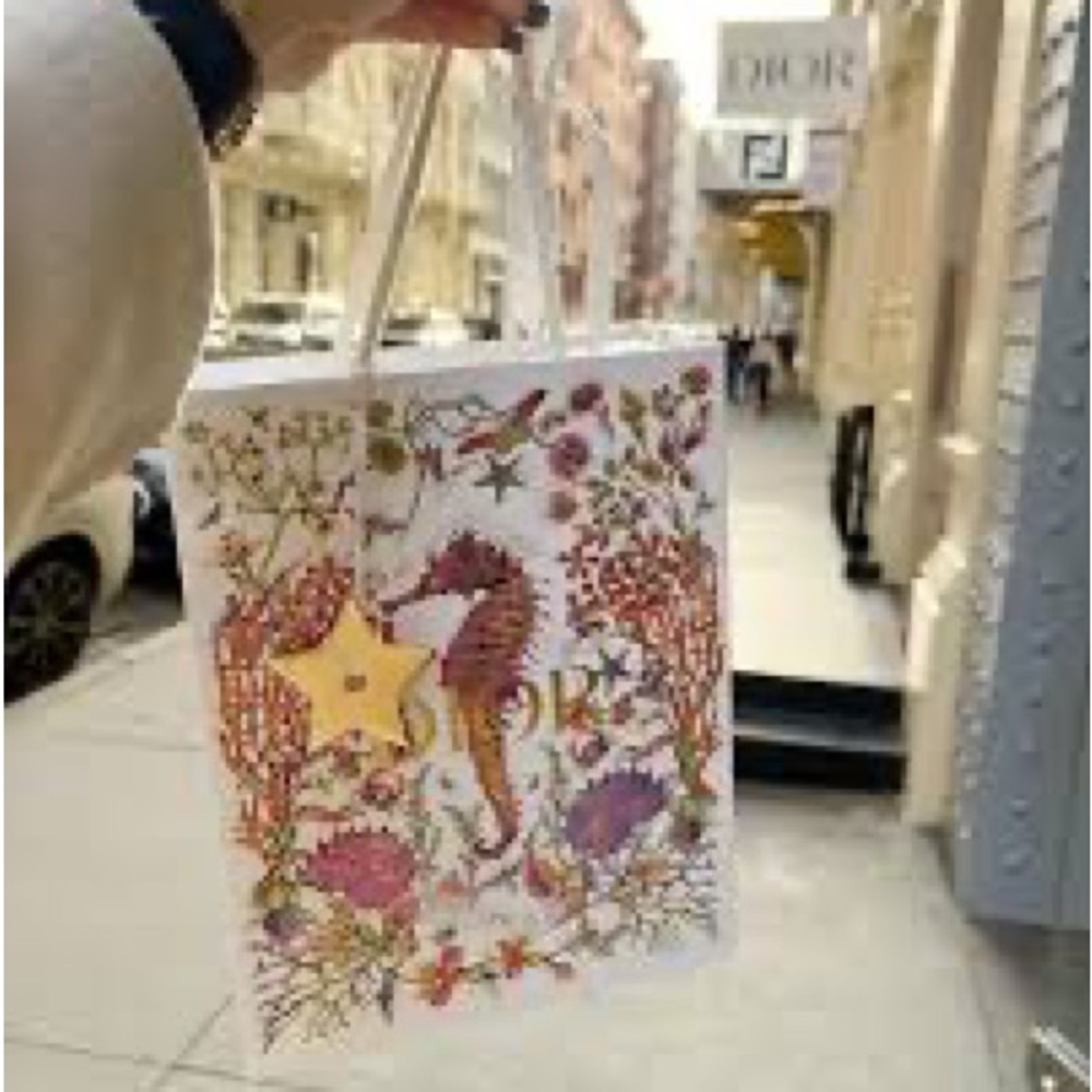 Dior Gift Bag Holiday metal star
